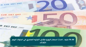 56.88 جنيه.. أحدث أسعار اليورو مقابل الجنيه المصري في البنوك اليوم الثلاثاء